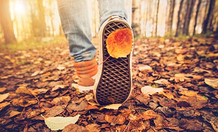 shoes walking along a path in a forest
